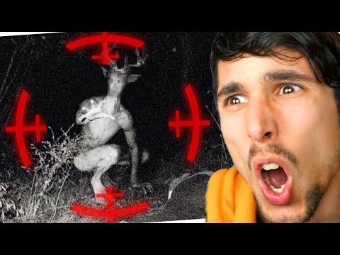 ESISTE DAVVERO IL WENDIGO?! (Folklore Hunter)