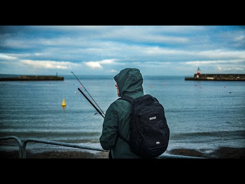 Movember and LADbible Ireland