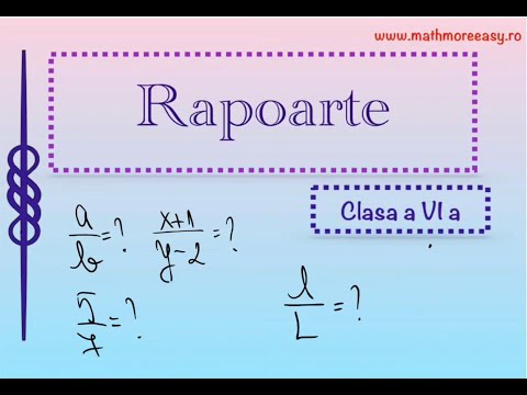 Rapoarte Clasa a VI a