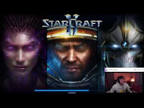 I Faced HAS in a PRO StarCraft 2 Tournament...