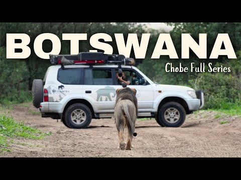 Chobe National Park, Botswana – Full Safari Series (Elephants, Lions & More)