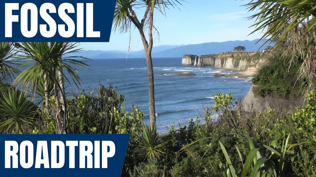 Fossil hunting New Zealand road trip 2023 - Day 1