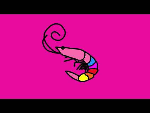 Flamingo 13 More Bells and Whistles