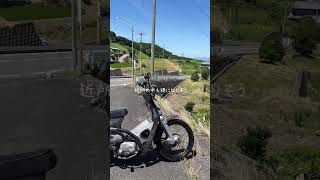 日本から秋が無くなりました #shorts