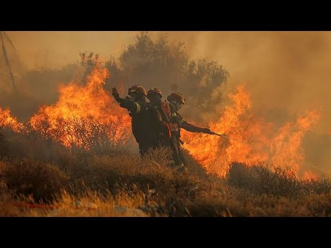 Extreme Waldbrände in Europa 2025:  Fläche von der Größe Luxemburgs vernichtet