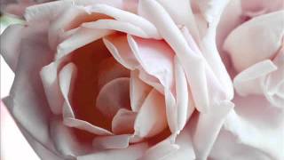 Pascal Comelade ~ Teresa  ( Ovidi Montllor cover)