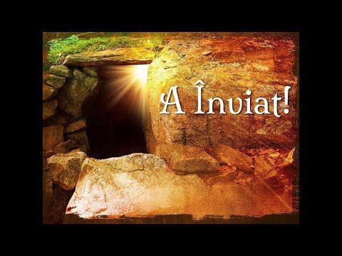 Nelu Bădiță - Luca 24:13-35