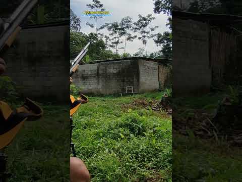 TES AKURASI PCP MONEL 1 JUTAAN ( MURAH NO MURAHAN)