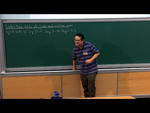Jonathan Luk - Late-time Tails of Linear and Nonlinear Waves