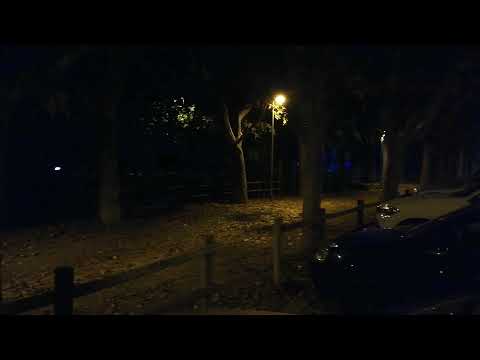 Medvedev vs Gaston Masters 1000 Paris