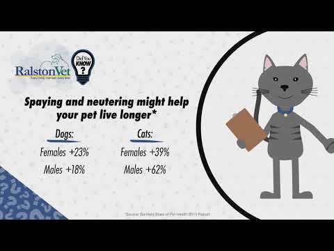 Spay and Neuter Your Pets For A Longer Life!