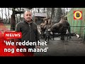 Kleine dierentuinen in de problemen | Omroep Brabant