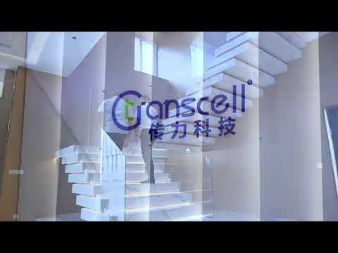 Transcell Loss-in-weight Feeder