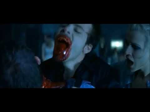 The MDz - Vampires Everlasting