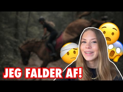 ARMANI SMIDER MIG AF I SKOVEN - storytime