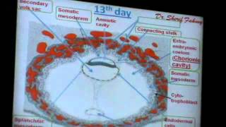 Dr. Sherif 19/04/2014