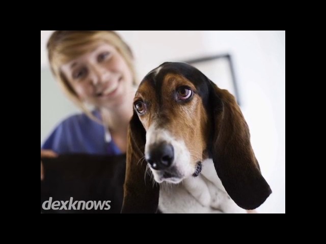 Crest Hill Cat and Dog - Crest Hill, IL