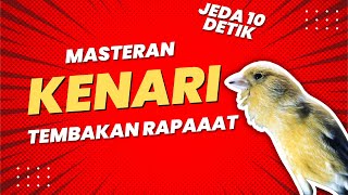 Download lagu Masteran Kenari Tembakan Rapat Jeda 10 Detik | Full 1 Jam mp3