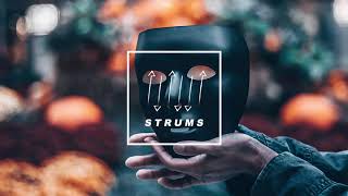 Destroyer - Tinseltown Swimming In Blood