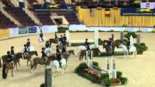 Class 1 Small Pony Hunter US