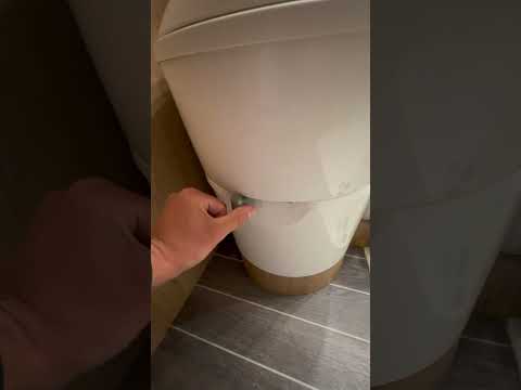 Using the Toilet