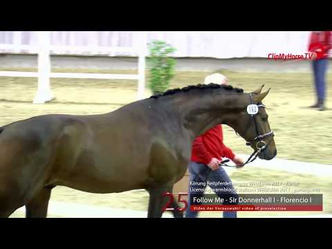 25 Junghengst v. Follow Me - Sir Donnerhall I