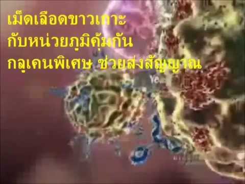 ฉีดเพิ่มความแรง ที่ฆ่าความแข็งแรงของผู้ชาย