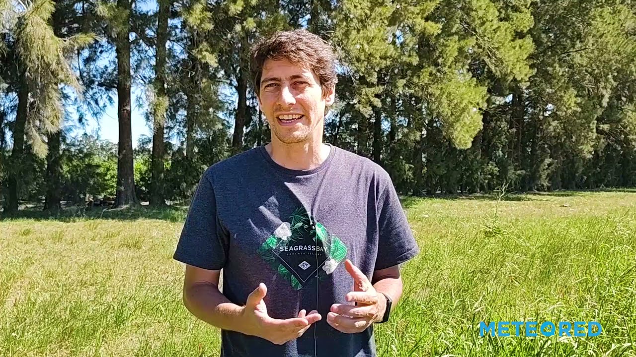 youtube video id=NeMYa0OQxj0