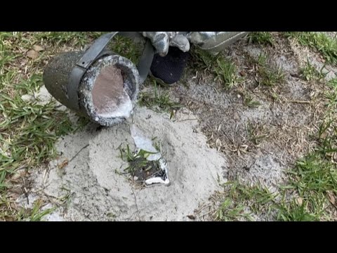 3 in 1 Florida Anthill Casting