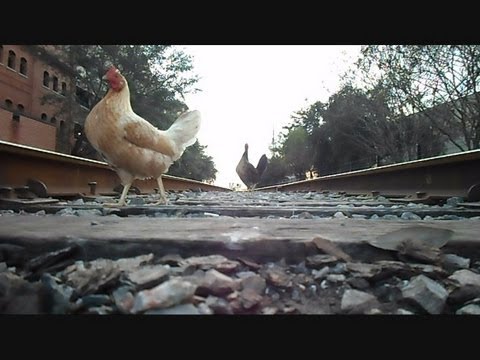 Track Amtrack Train