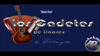 LOS CADETES DE LINARES MANDATO DIVINO KARAOKE