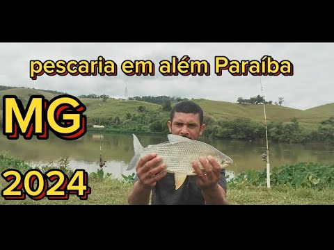 pescaria entre amigos muitos peixes em além Paraíba MG 🎣