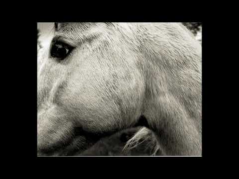 Deep In Love - Bonny Light Horseman