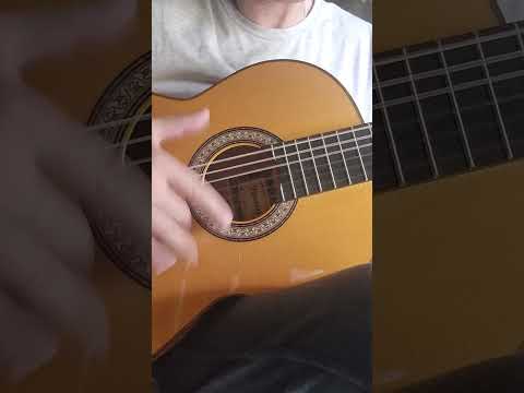 Raimundo No 145S Flamenco Guitar All Solid Wood Handmade in Spain image 13
