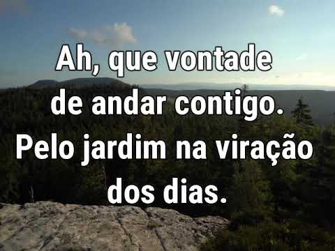 Playback Jardim da Inocência