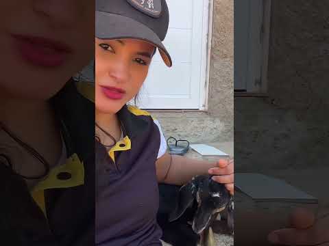 #gomes de farias Sousa paraiba Geraldo farias