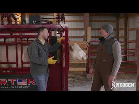 Safe Injection Practices for Cattle with Dr. Patrick Godfrey