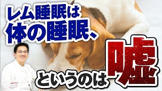 【精神科】レム睡眠は体の睡眠・ノンレム睡眠は脳の睡眠、と言うのは嘘 ライブQ&A6連発【睡眠】