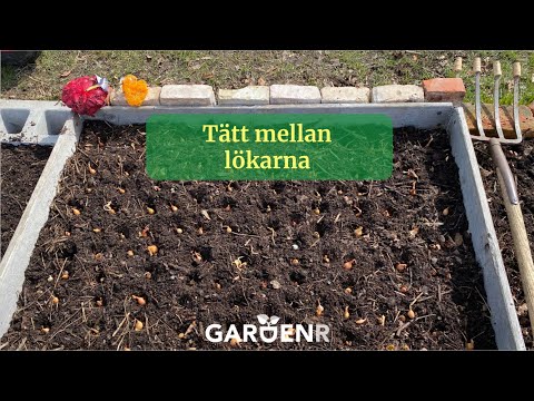 Close between the bulbs - Garden hacks with GardenR