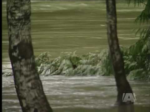 Mid-Island Rivers Receding