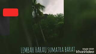preview picture of video 'Panorama Lembah Harau'