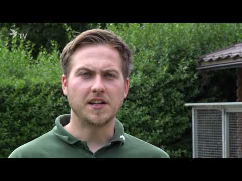 SG Roland und Denis Faber – Röhnfried Racing Team – 2017