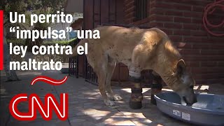 Thumbnail del capítulo