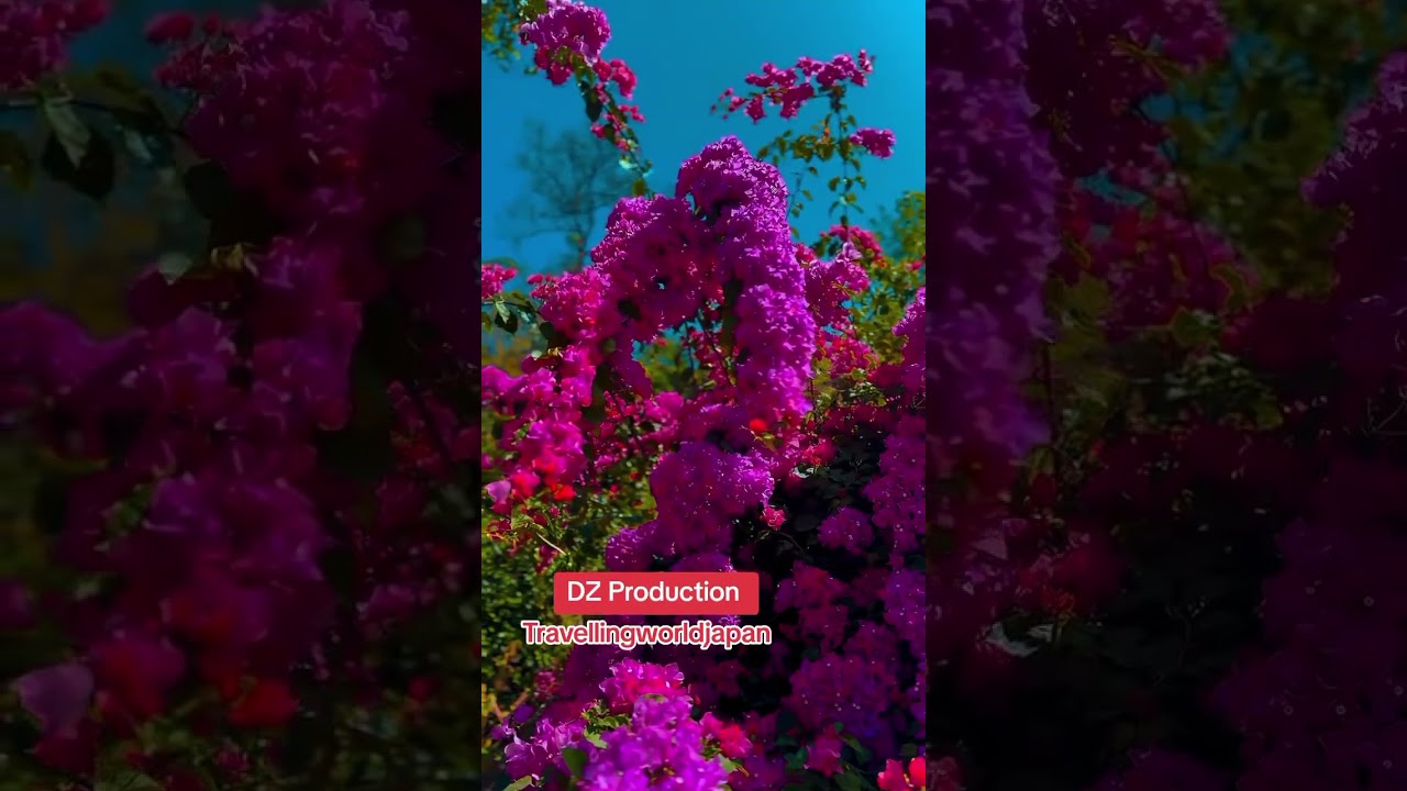 Spring Days in Tokyo ✨ | Peaceful Moments & Urban Beauty