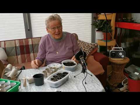 Hannelore Klabes über Artemisia Annua in Deutschland