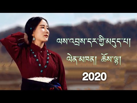 NEW TIBETAN SONG 2020 BY CHOELHA ལས་འབྲས་དར་གྱི་མདུད་པ།