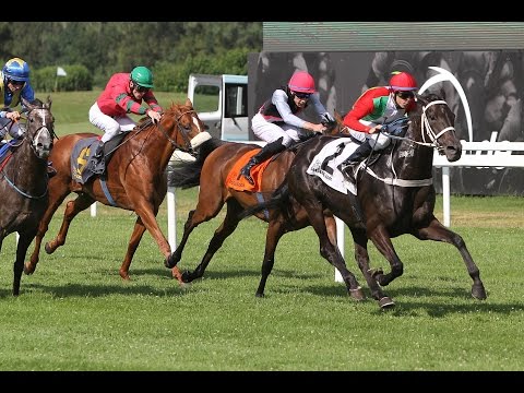 München: Großer Erdinger Weißbier Preis (Listenrennen) - Siegerin: Lili Moon