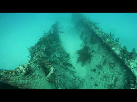 Proteus Wreck - Miami Florida