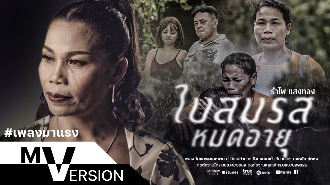 เนื้อเพลง ใบสมรสหมดอายุ รำไพ แสงทอง
