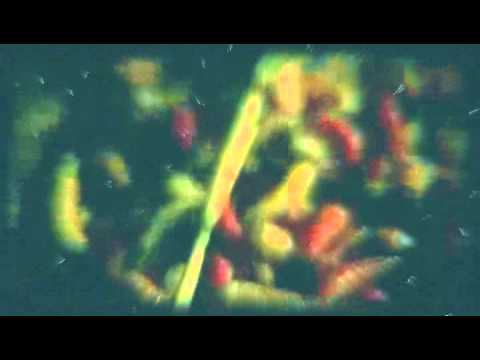 Słoń - Ostatnia Chwila [Virtuz Blend]